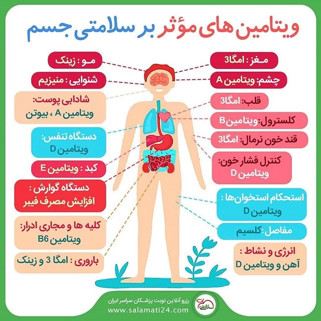 تاثیرانواع  ویتامین به بخش های مختلف بدن